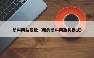 安陆塑料网站建设（我的塑料网盈利模式）